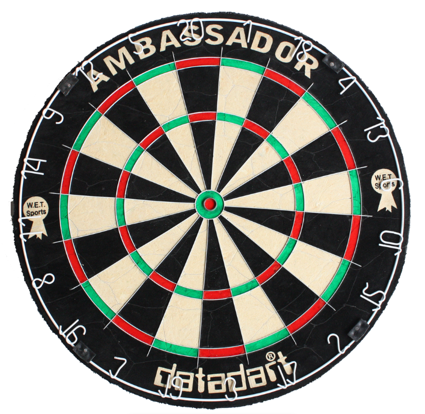 Datadart Ambassador Dartboards